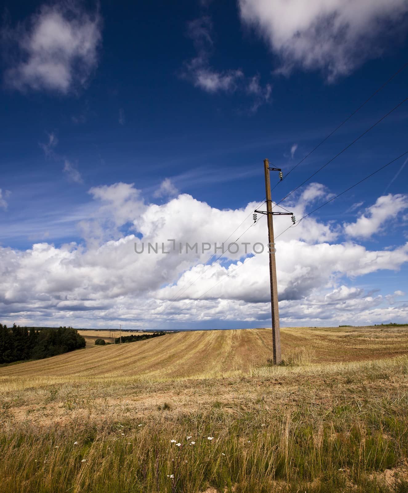   the electric columns standing on an agricultural field