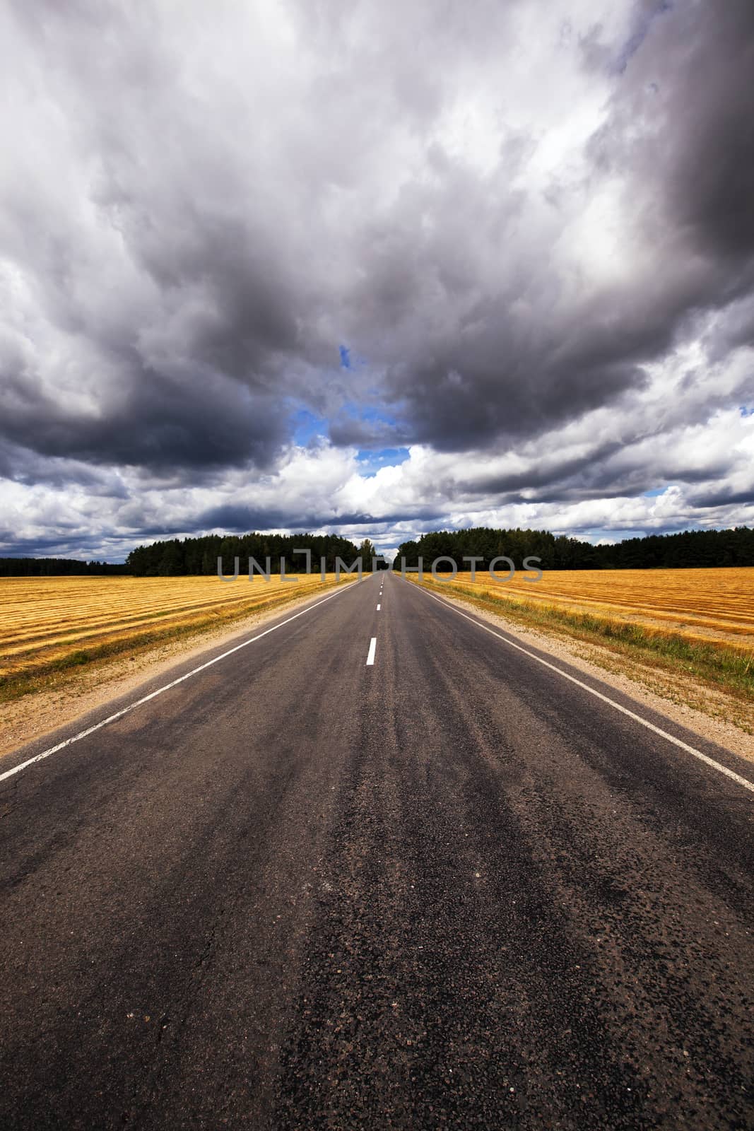   the asphalted road to an autumn season. Belarus