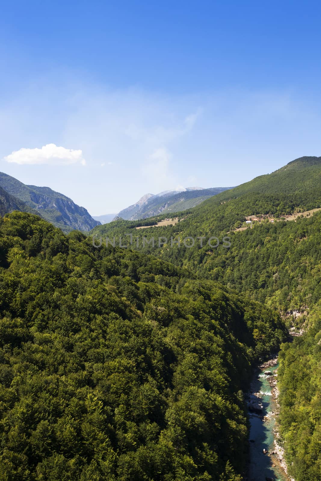  a canyon Tara  located in the mountains of Montenegro.