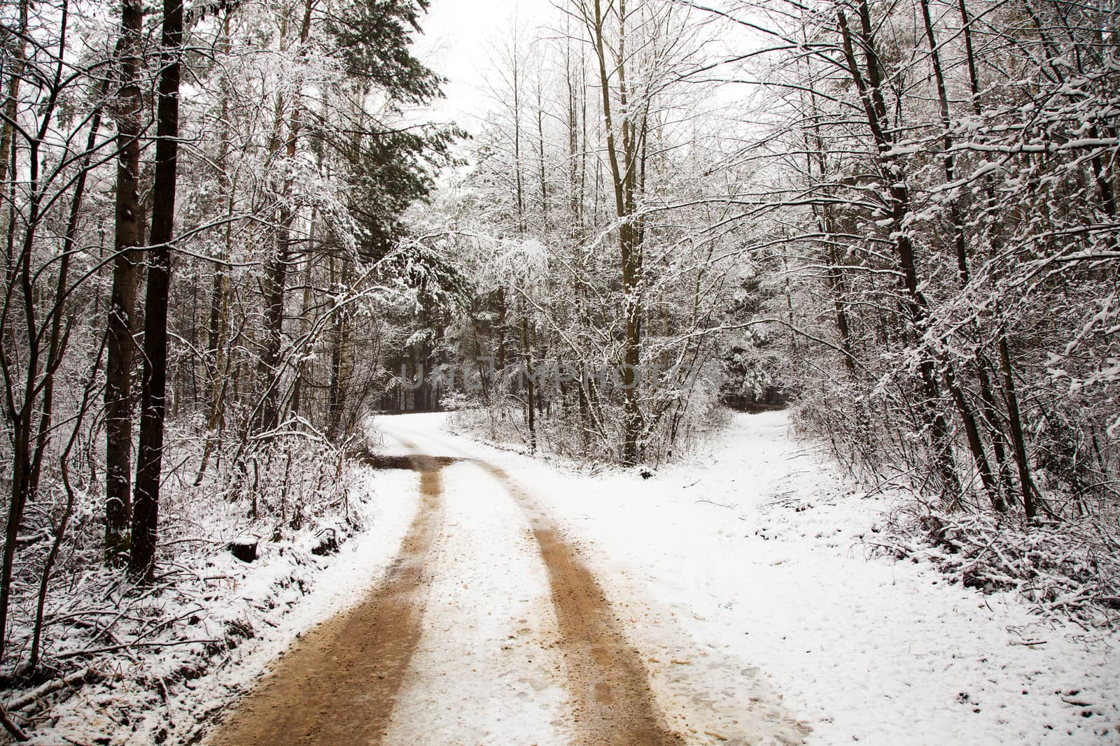 the road covered with snow in a winter season