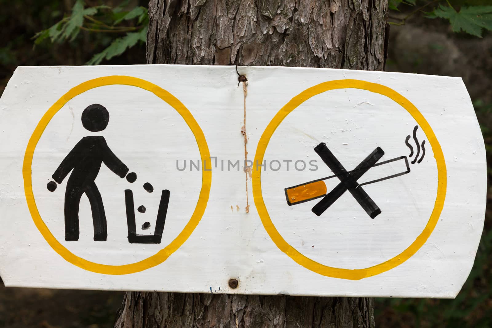 Sign Smoking and littering are prohibited nailed on the tree.