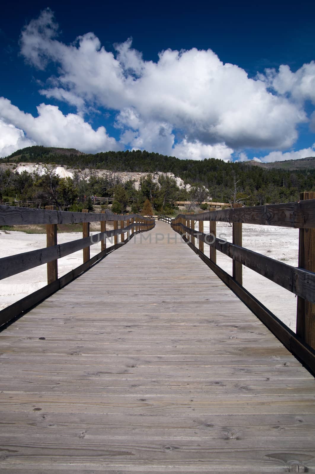 Boardwalk at Mammoth Hot Springs by emattil