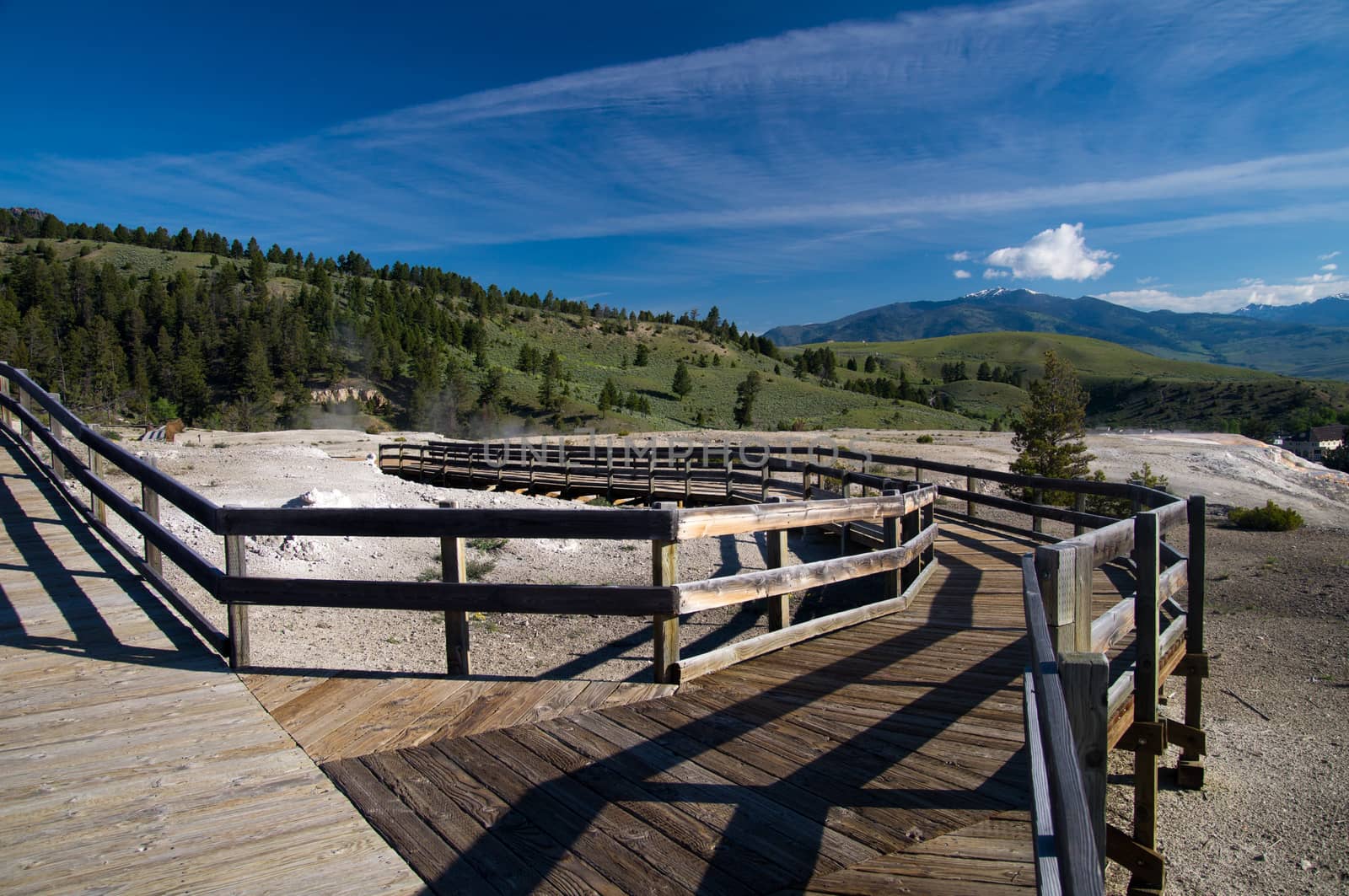 Boardwalk overlooks Mammoth Hot Springs, Yellowstone National Park