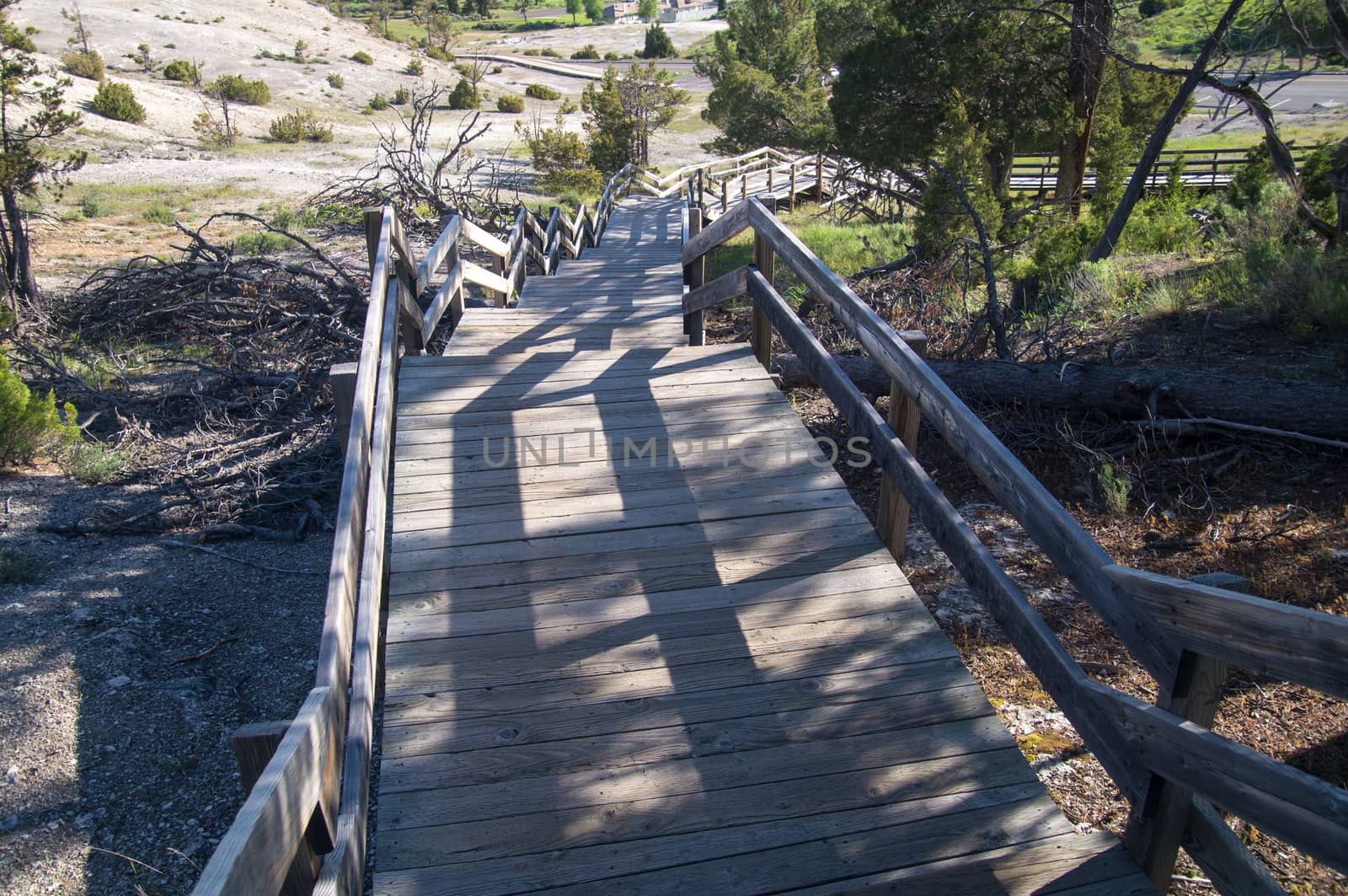 Steep boardwalks of Mammoth Hot Springs by emattil