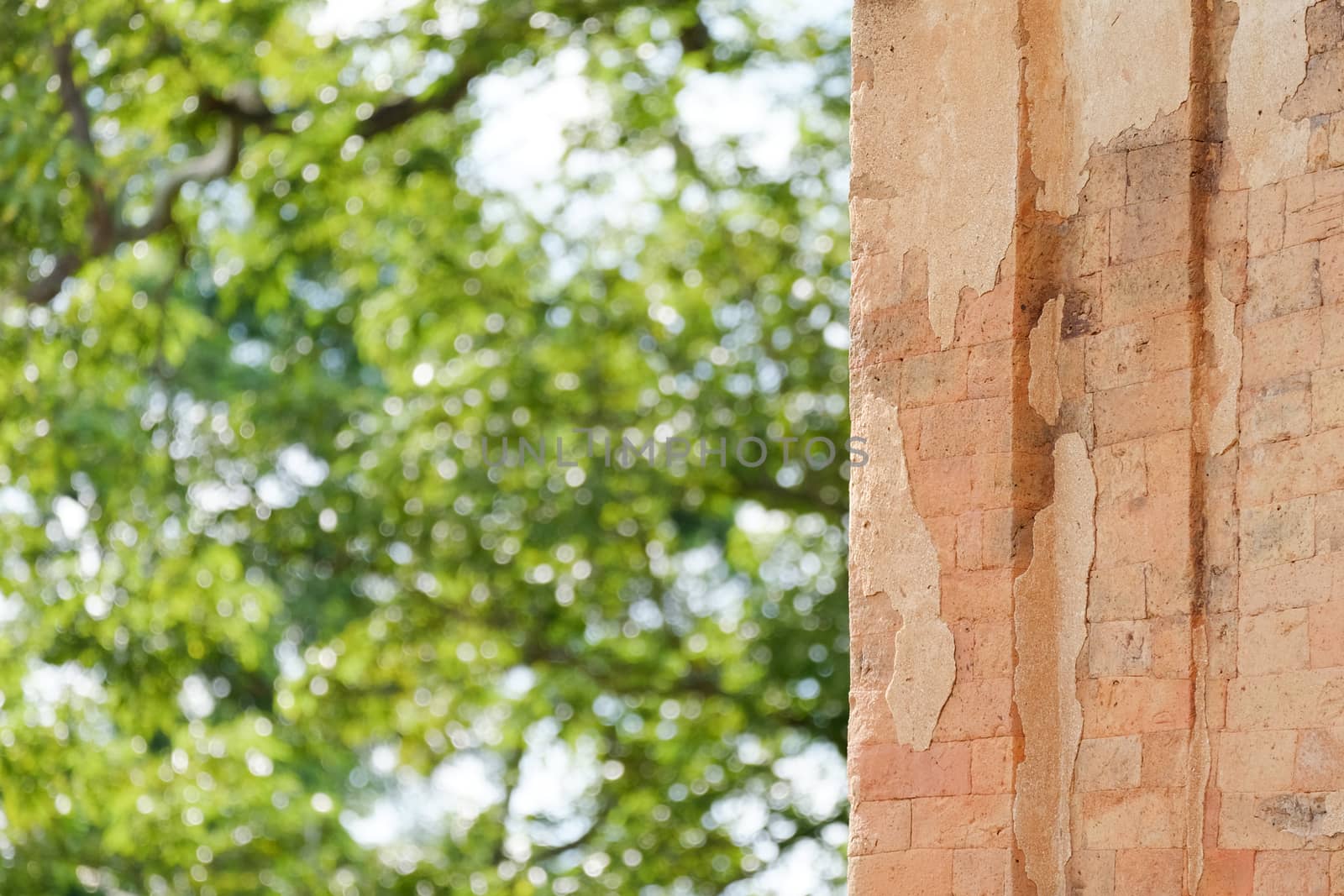 Stone carve at castle rock temple by zneb076