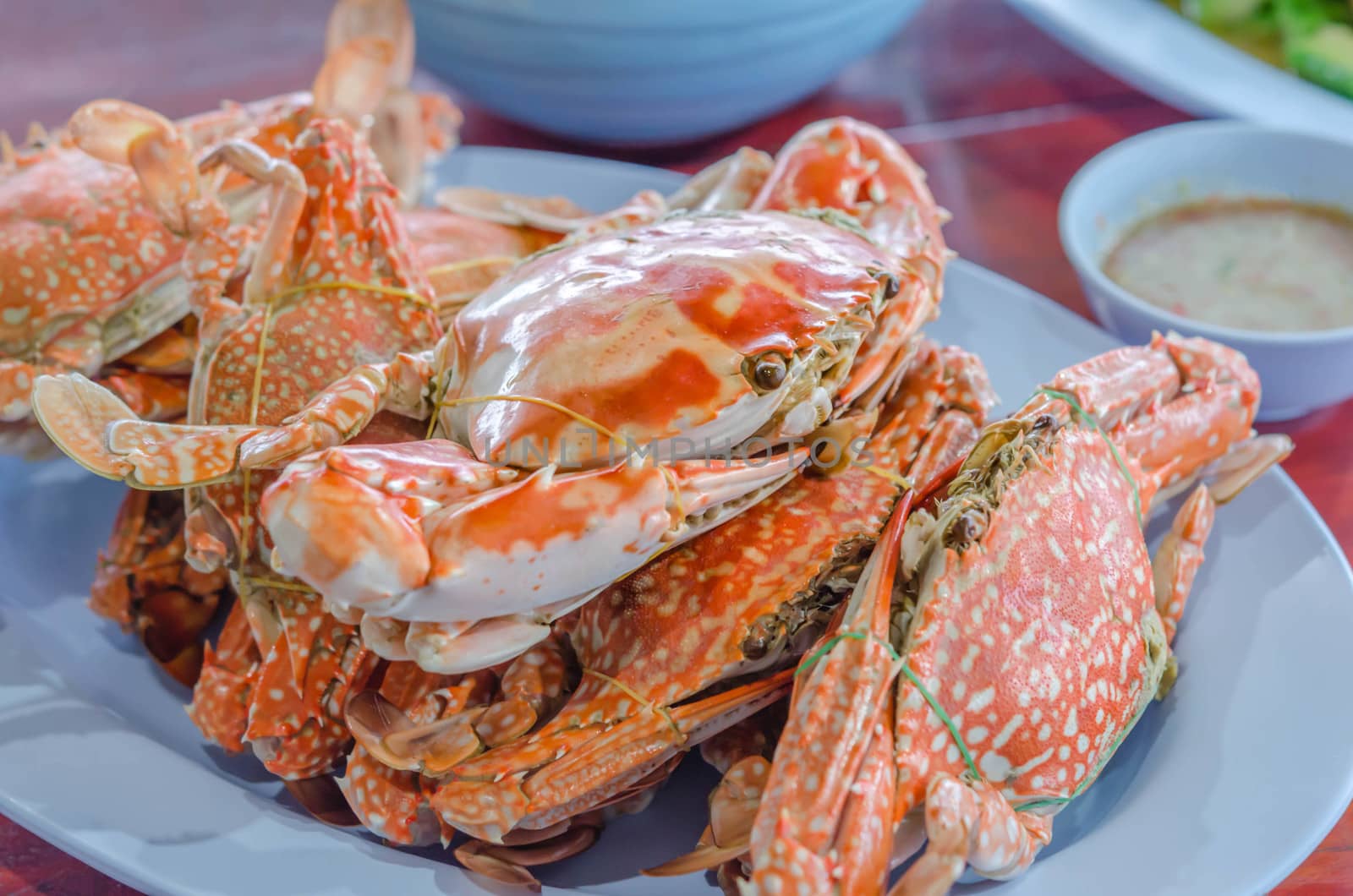steamed flower crab or blue crab, blue manna crab, sand crab