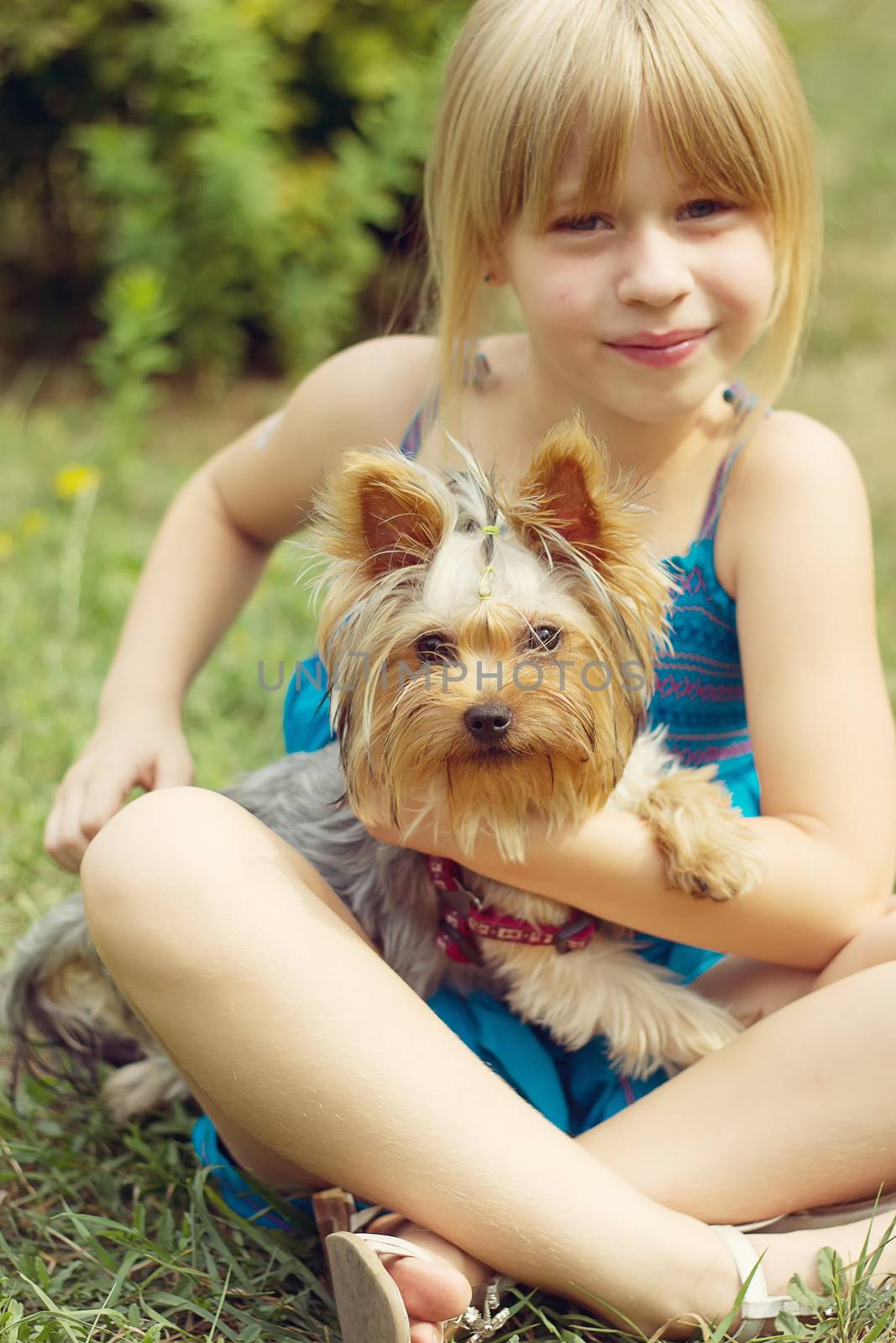 Girl 6 years old on the grass holding a Yorkshire Terrier