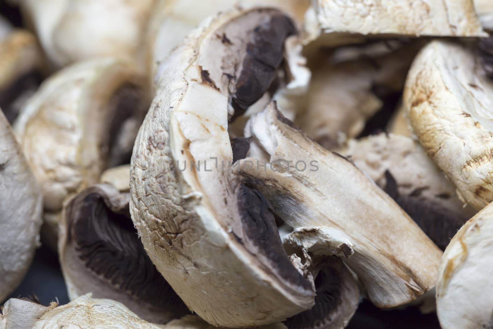 Agaricus Mushroom Close Up and cut in half.