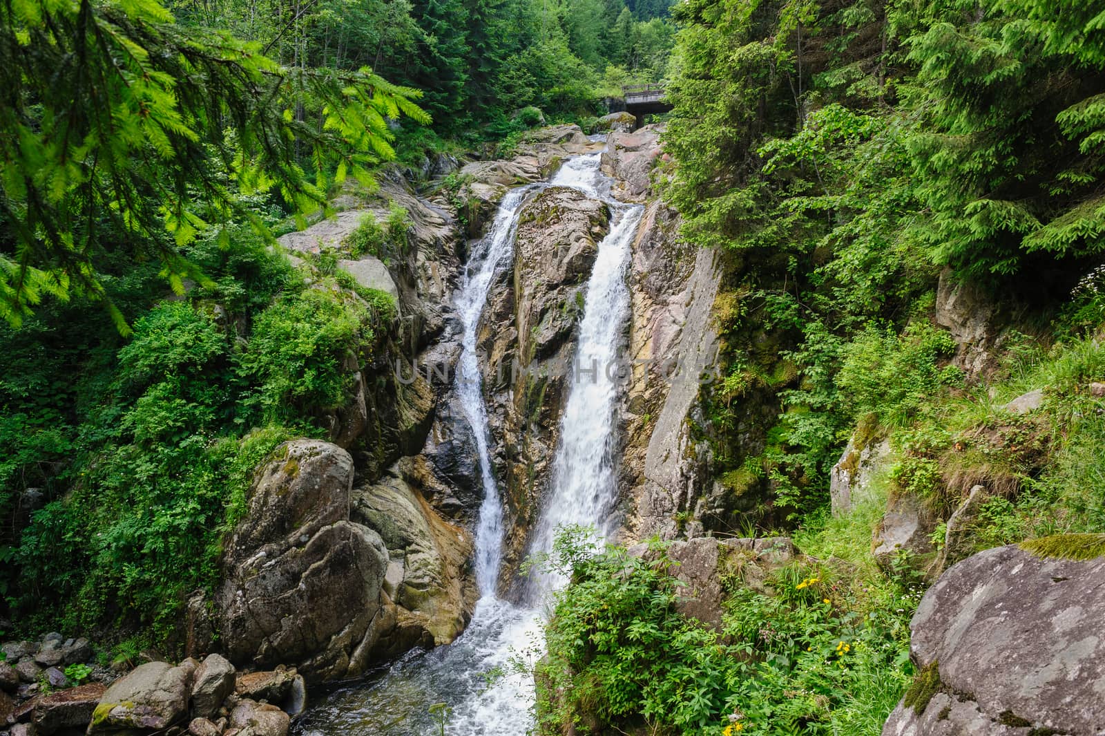 Waterfall in deep forest at mountains, Retezat national park, Romania