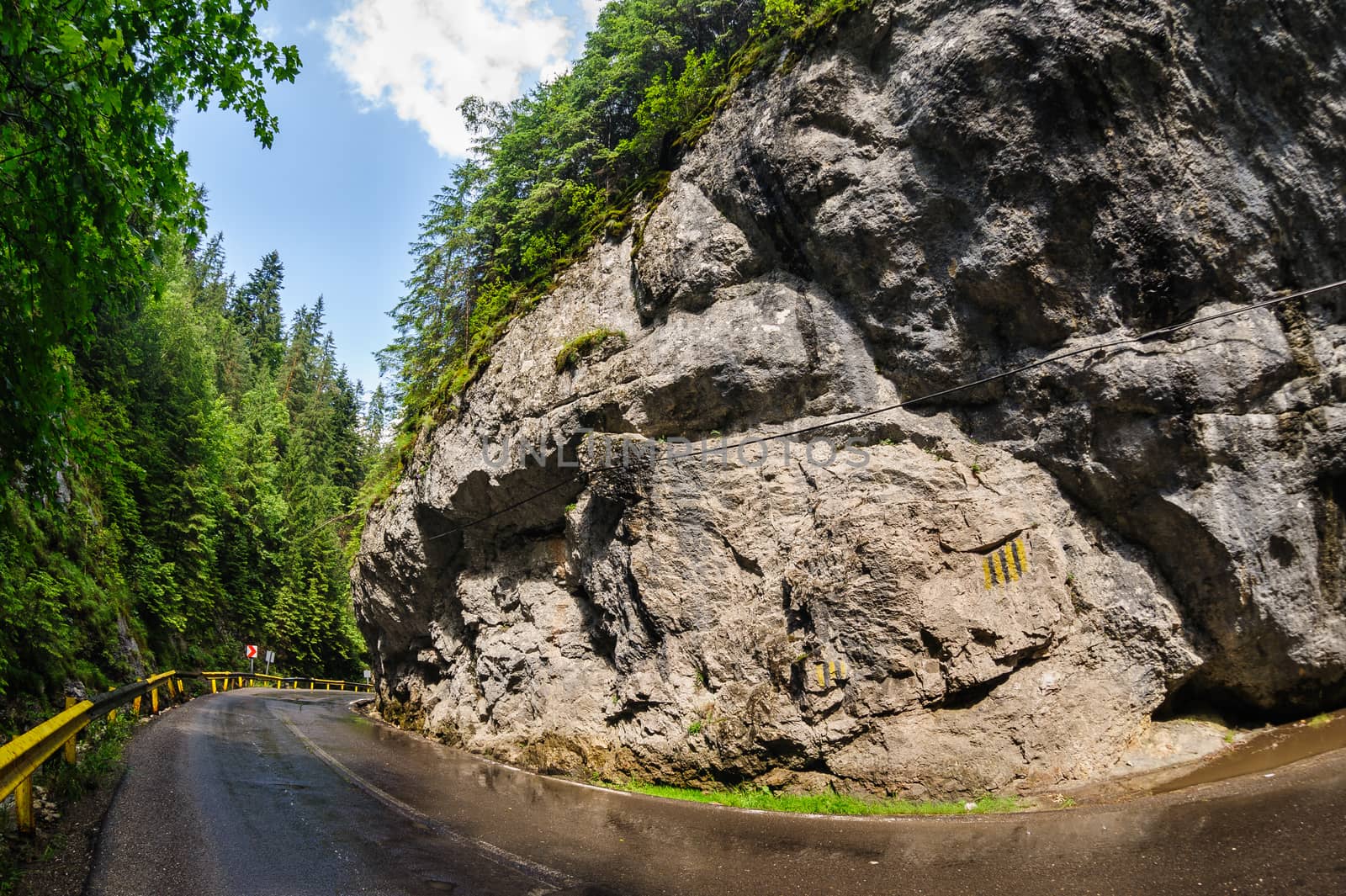 Curved wet road in Bicaz Canyon one of the most exciting travel road in Romania. Sunny after rain.
