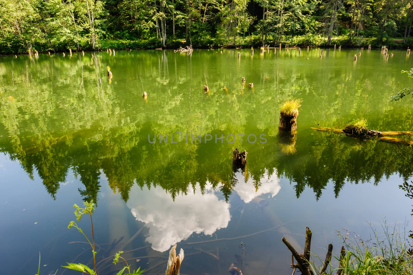 Lacul Rosu the Red Lake, Eastern Carpathians, Romania by starush