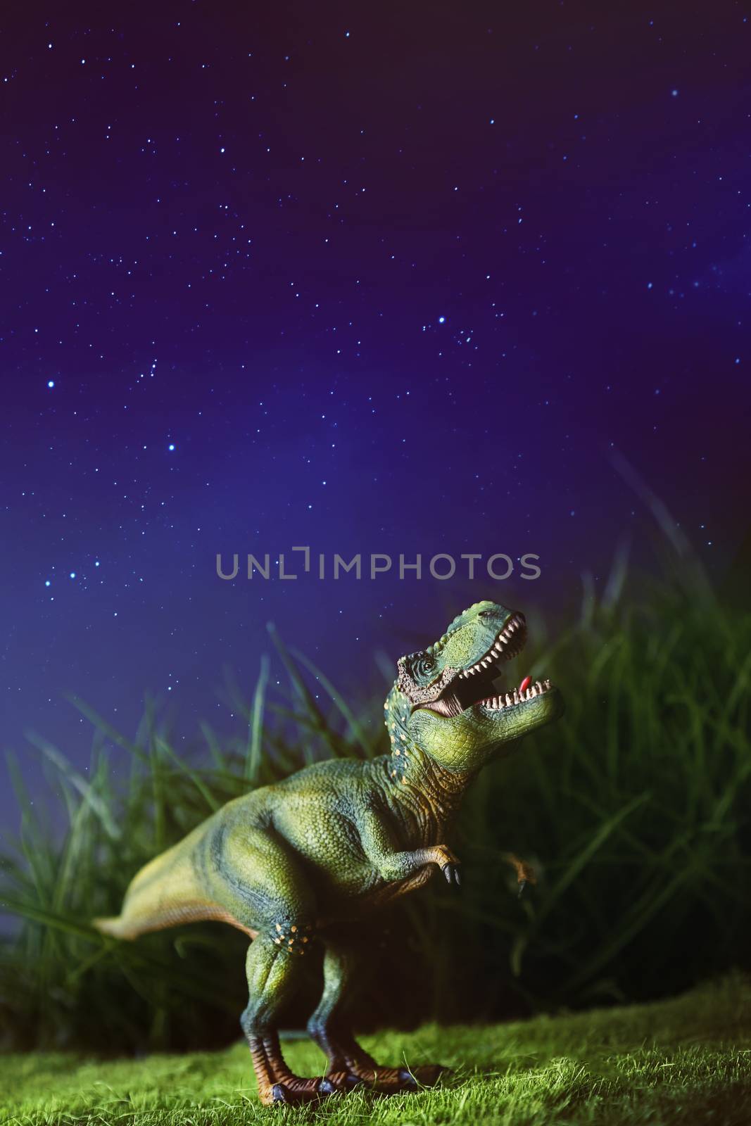 Tyrannosaurus toy on grass at night