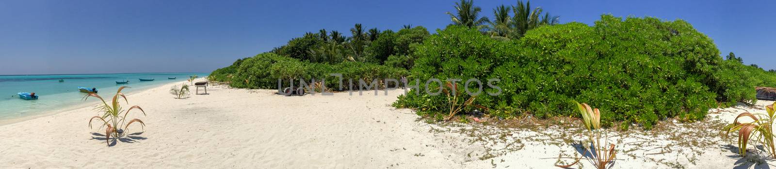 Vegetation of Maldive Islands.