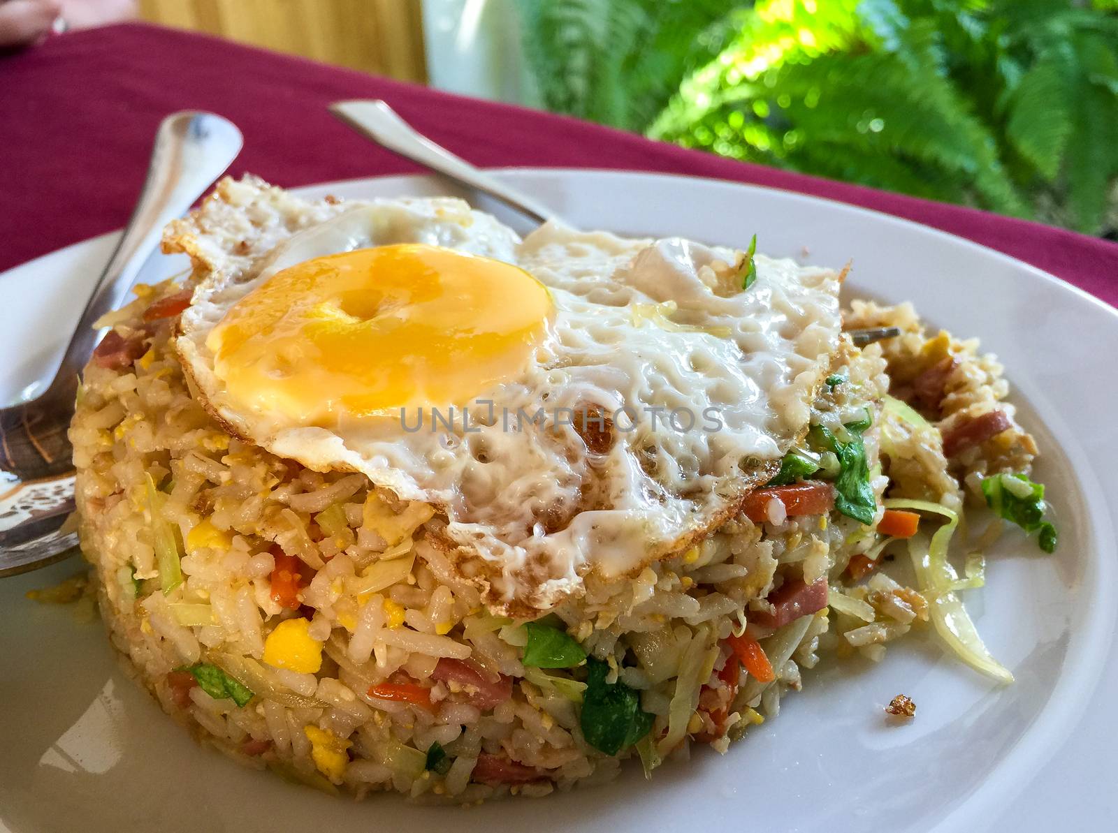Nasi Goreng rice plate by jovannig