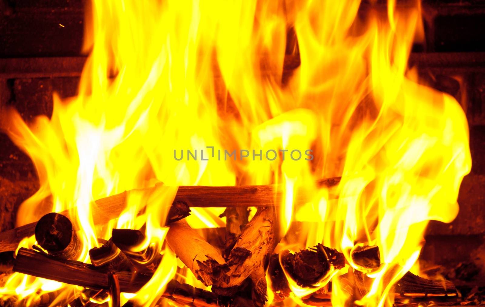 Fire wood burns in a fireplace