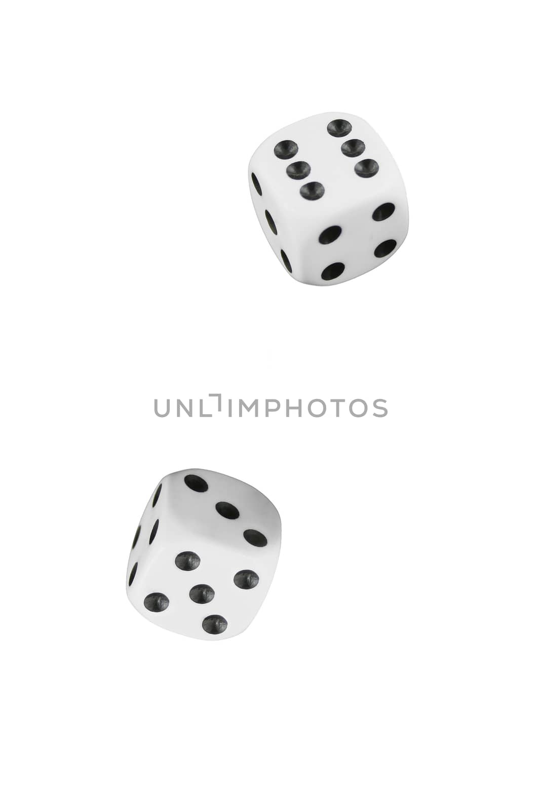 two white dices on white background