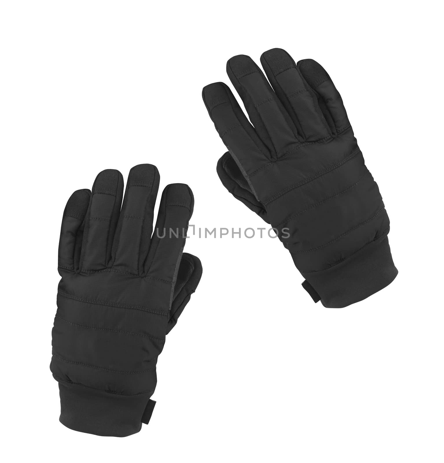 studio photo of black winter gloves