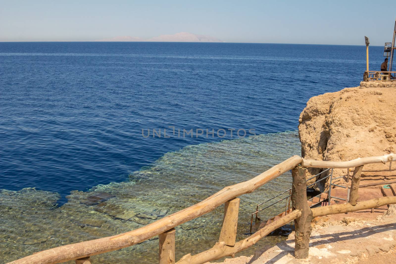 Red Sea coastal coral reef by ads861