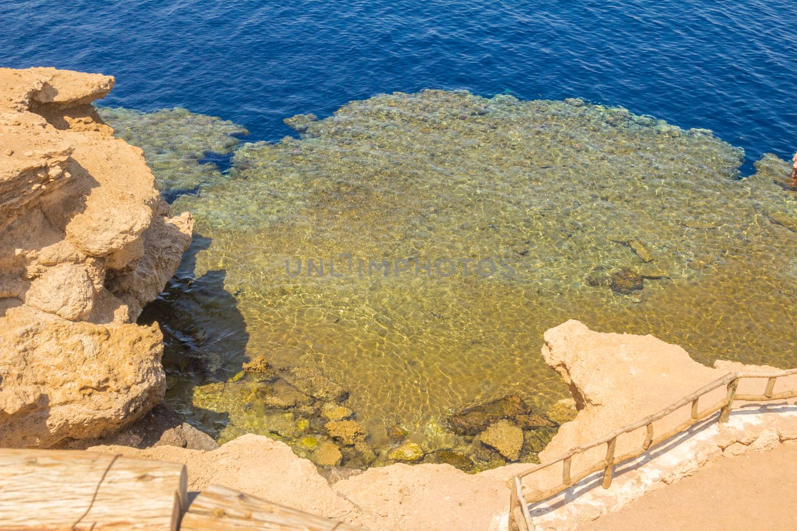 Red Sea coastal coral reef by ads861