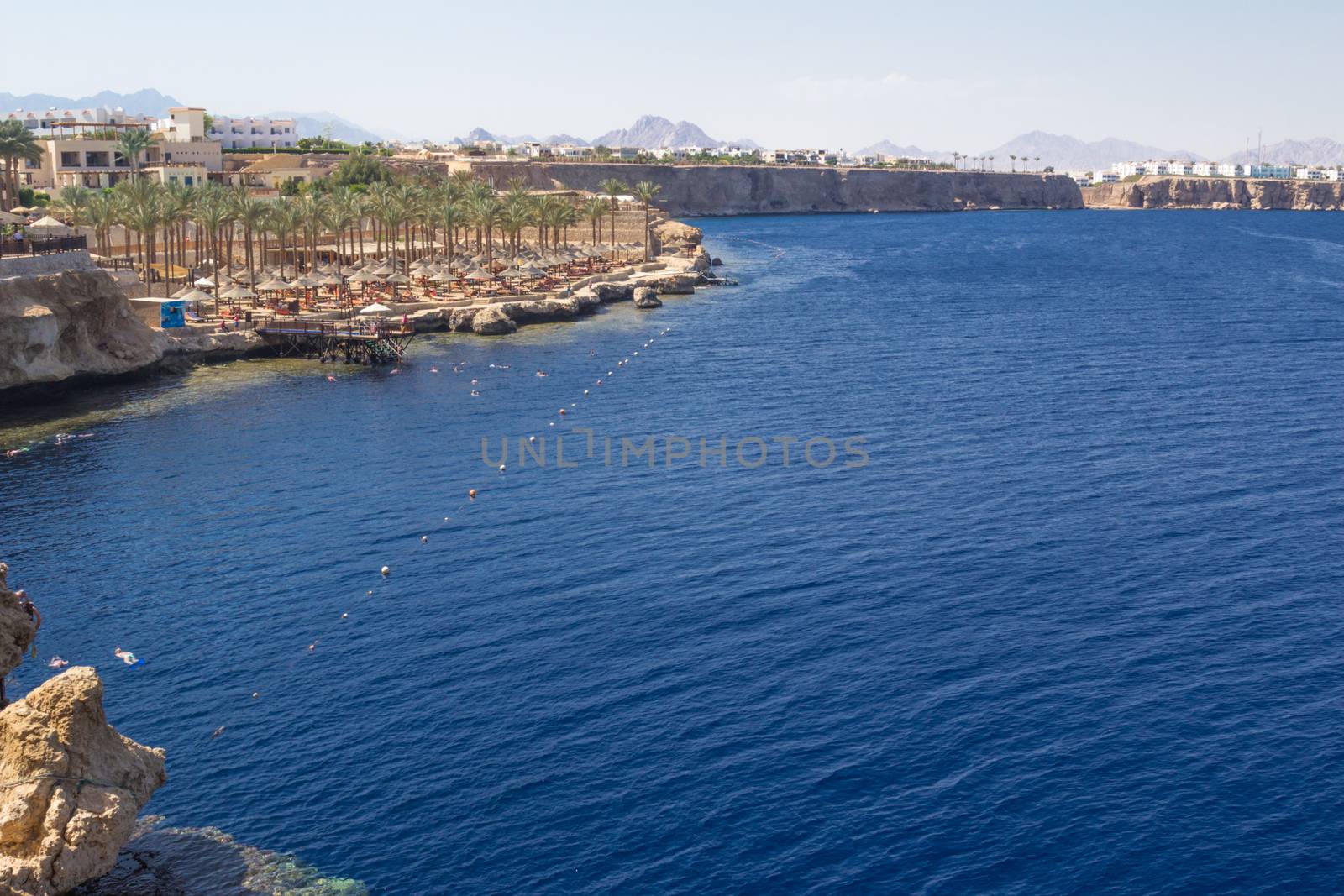 Red Sea coastal coral reef by ads861