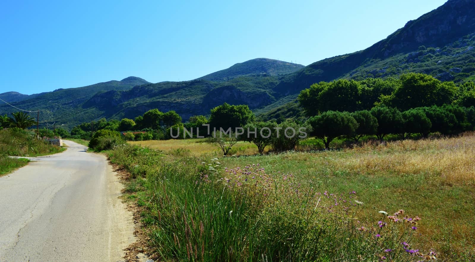 An image of Greek countryside taken close to katelios on the beautiful Island of kefalonia.