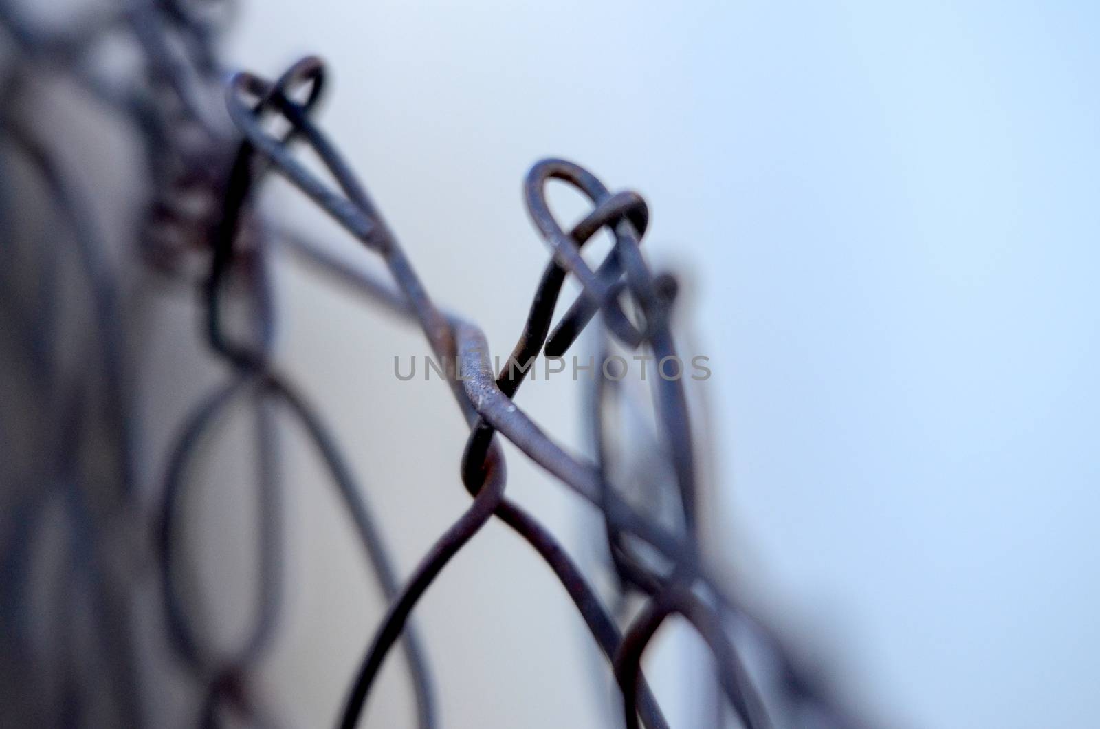 Picture of Rusty Metal wire fence, detail. 