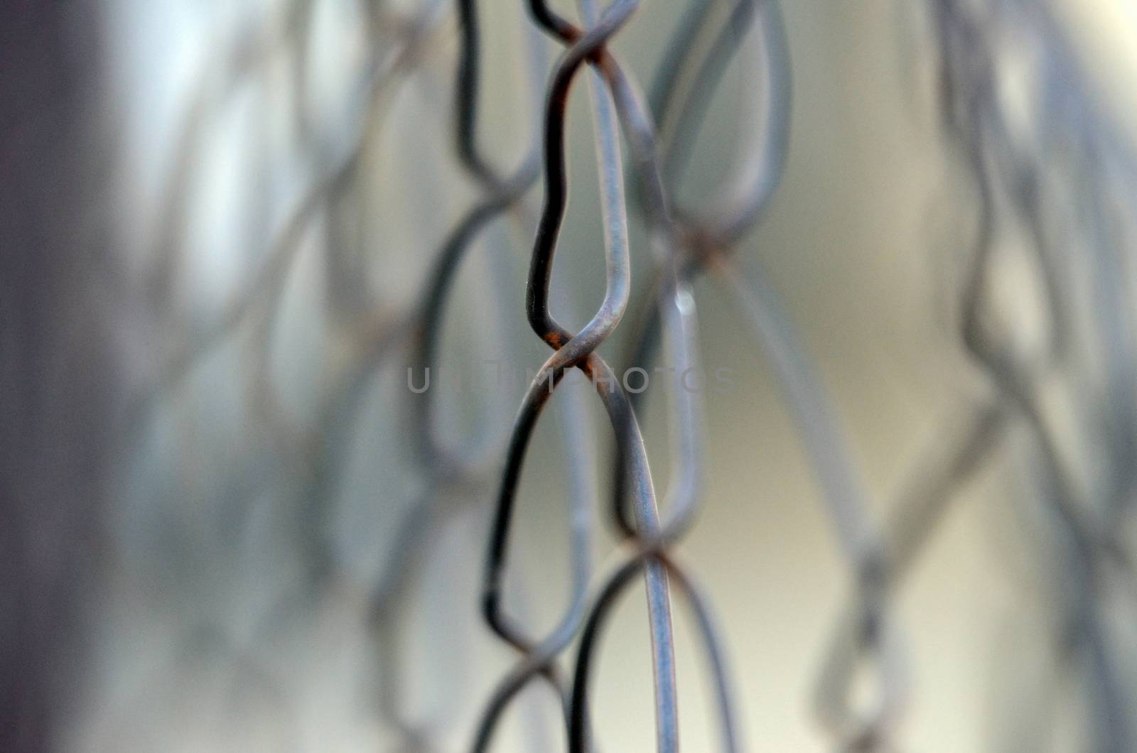 Picture of Rusty Metal wire fence, detail. 