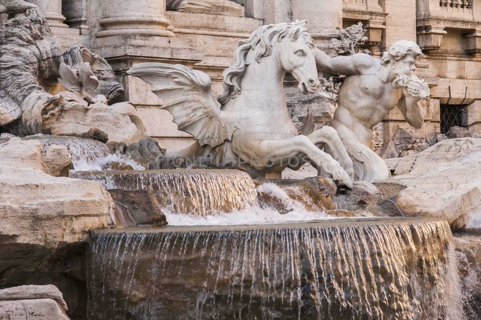 Trevi Fountain, Rome - Italy. Trevi Fountain (Fontana di Trevi) is one of the most famous landmark in Rome.