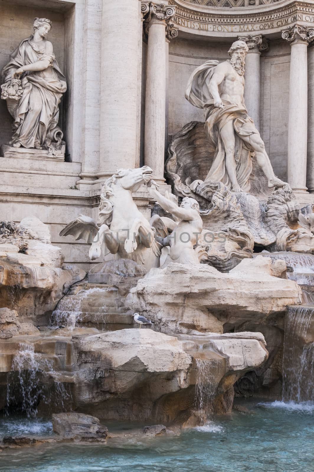 Trevi Fountain, Rome - Italy. Trevi Fountain (Fontana di Trevi) is one of the most famous landmark in Rome.