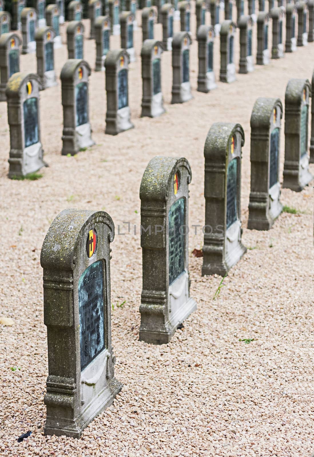 Belgian miitary cemetery

