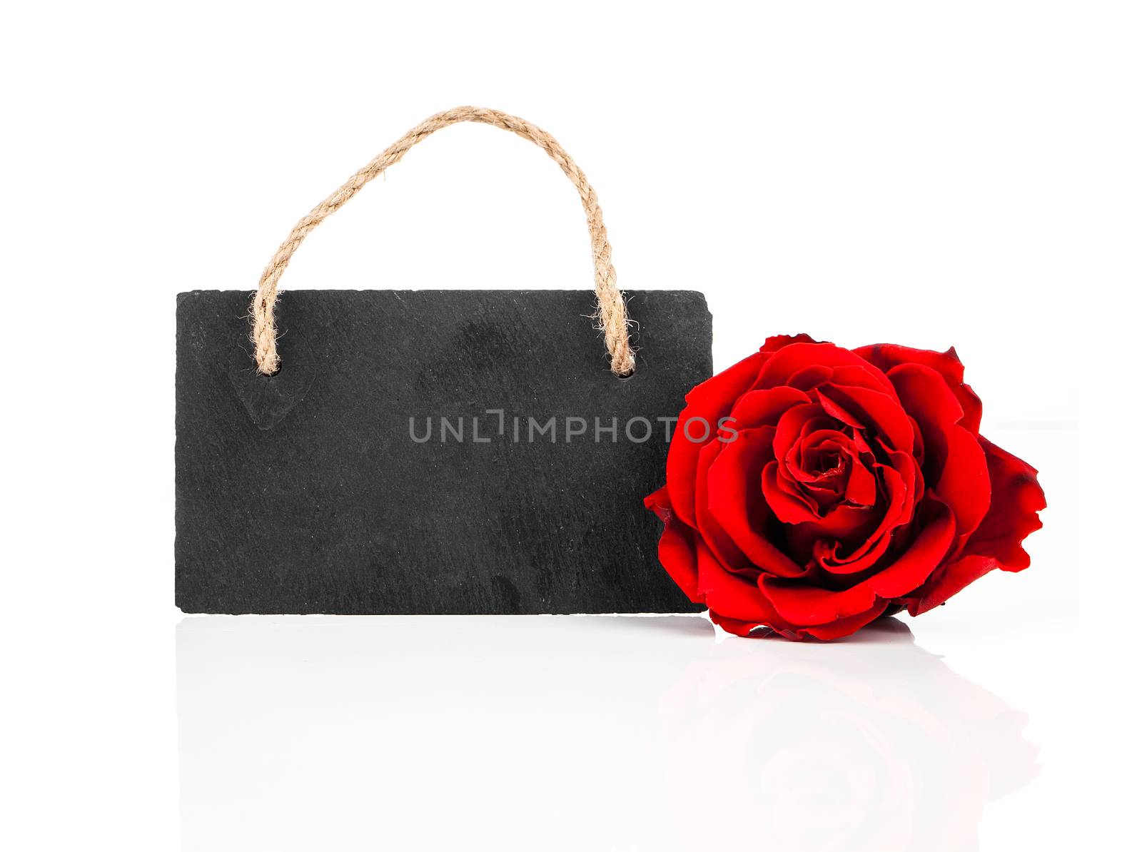 blackboard with rose flowers, on white background