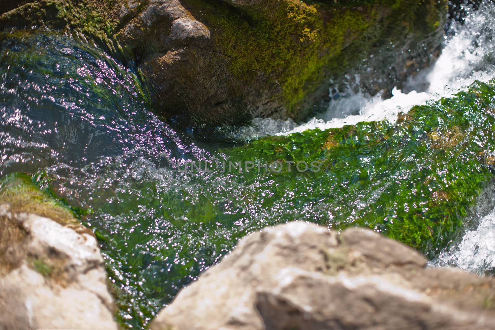 Mountain creek in summer siberian forest