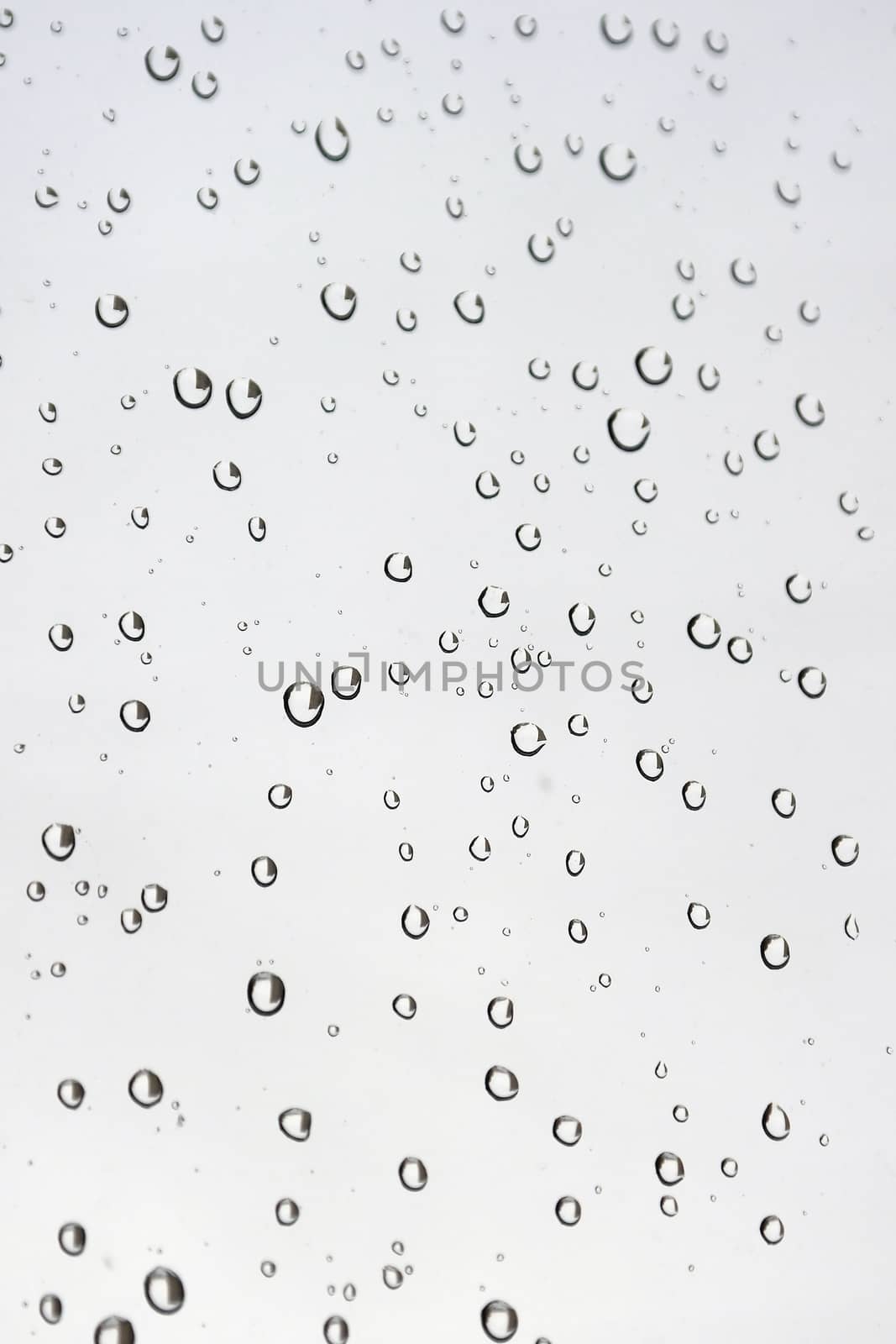 Drops of rain on the window (glass). Shallow DOF. 