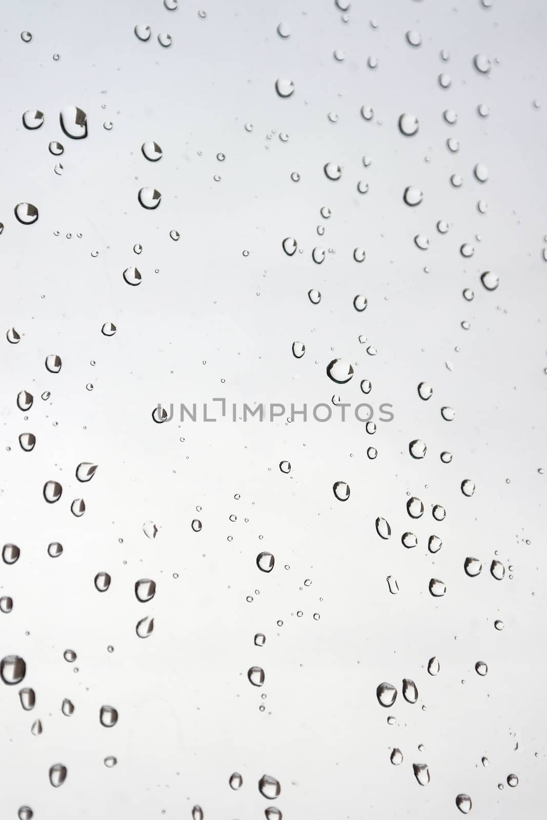 Drops of rain on the window (glass). Shallow DOF.