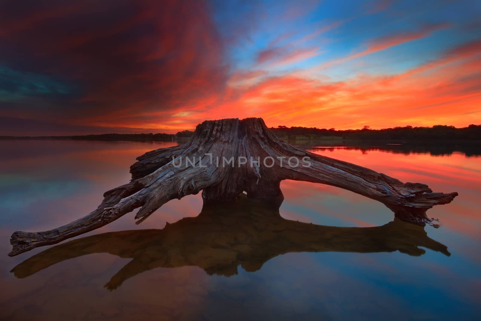 A piece of driftwood at Longview Lake during a vibrant sunrise.