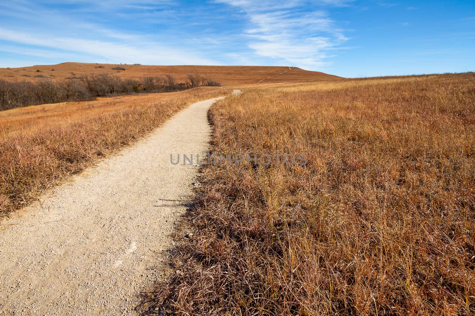 Pathway into the Prairie  by TommyBrison