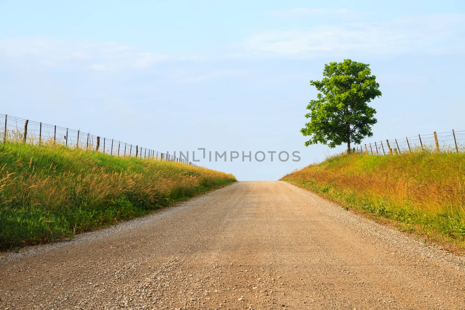Midwest Gravel Road by TommyBrison