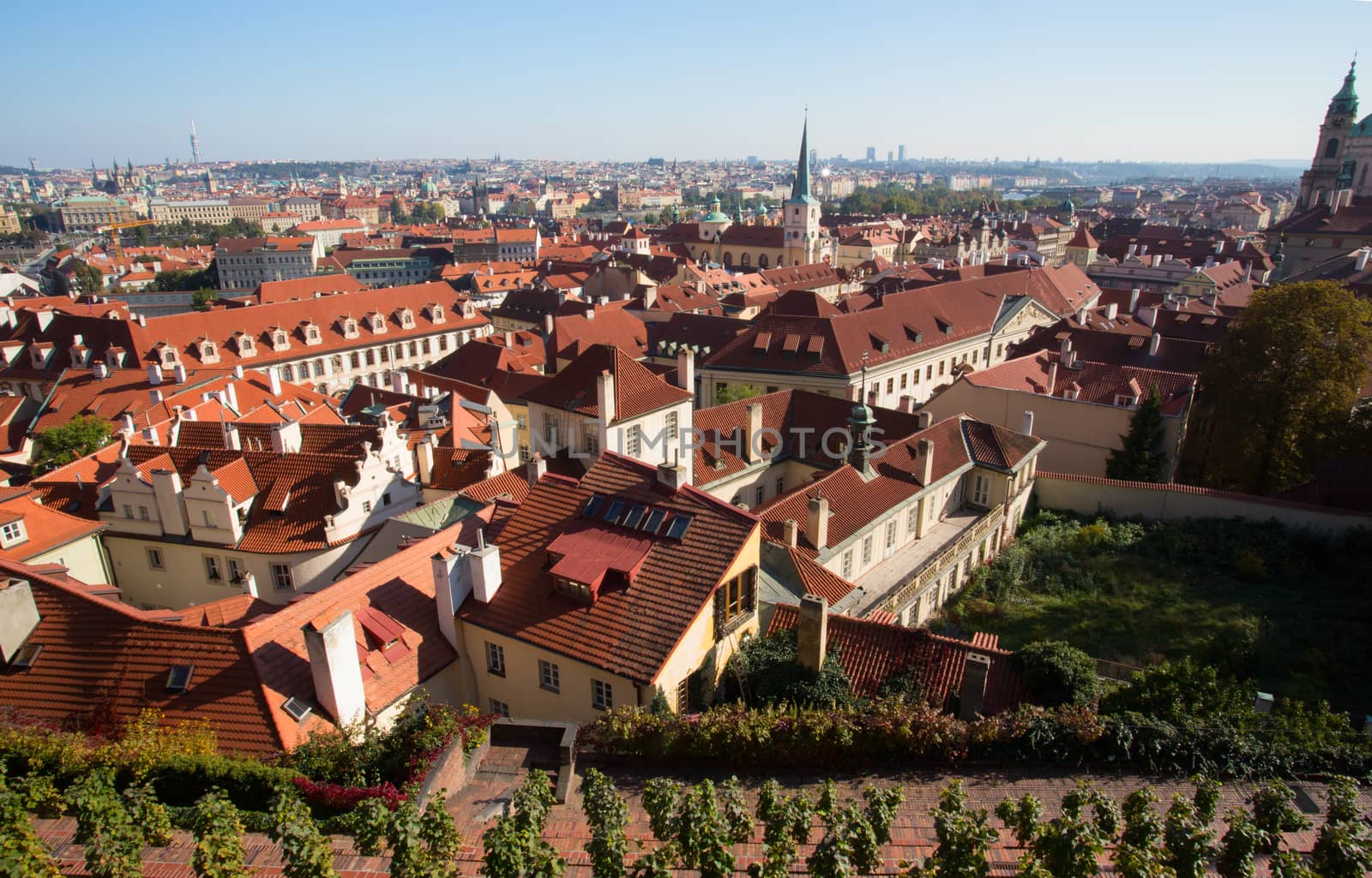 view of Prague city from hill

