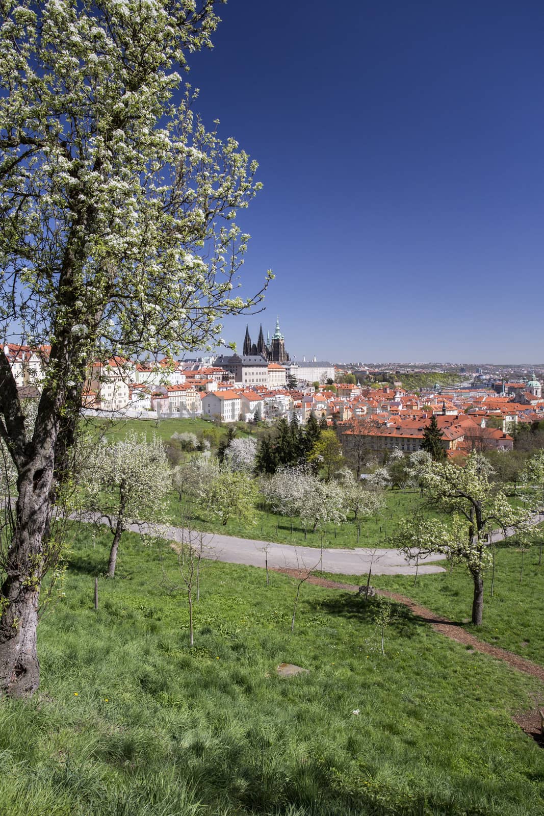 Prague and Prague castle vertical view from Petrin Hill