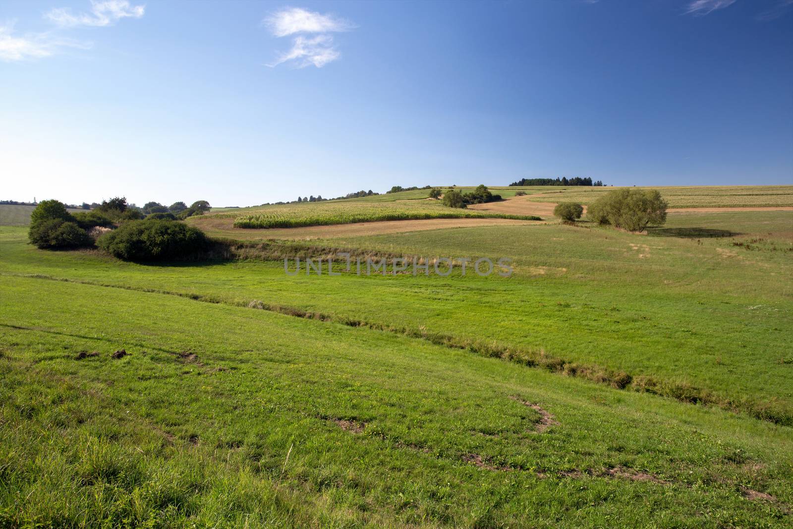 rural summer landscape in czech Republic - region Vysocina