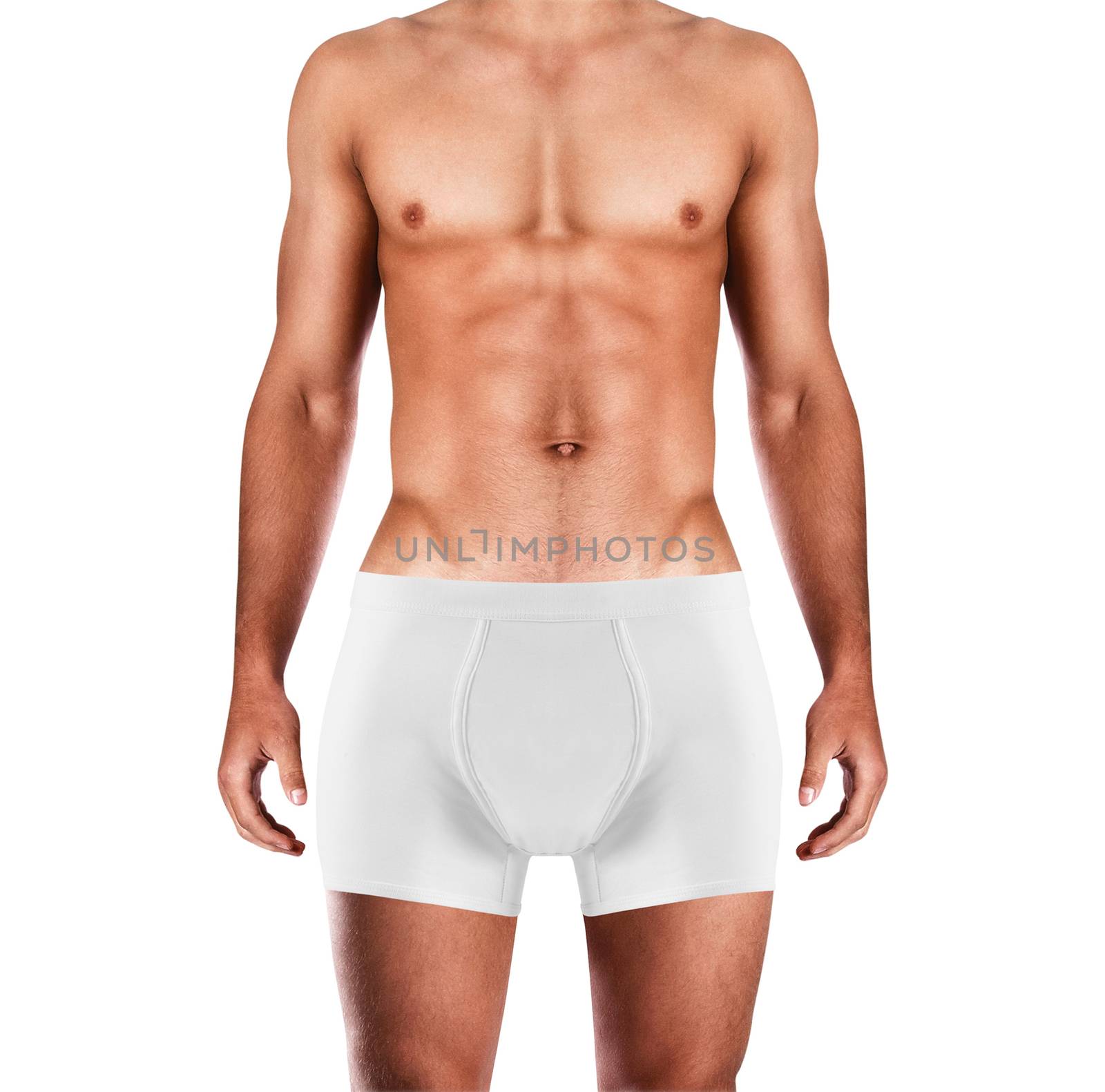 Male sexy underwear model in underpants