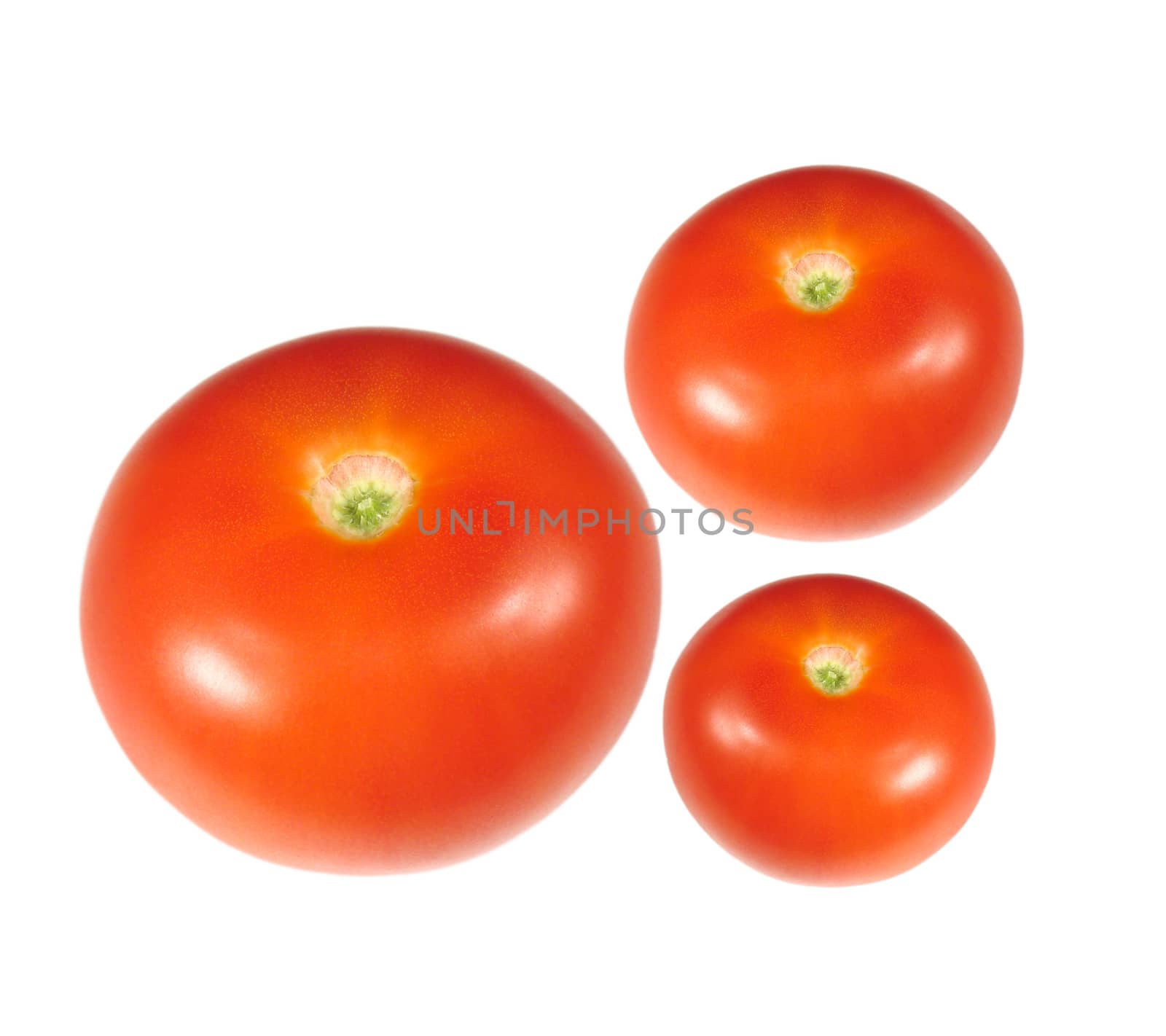 Tomatoes isolated on white background