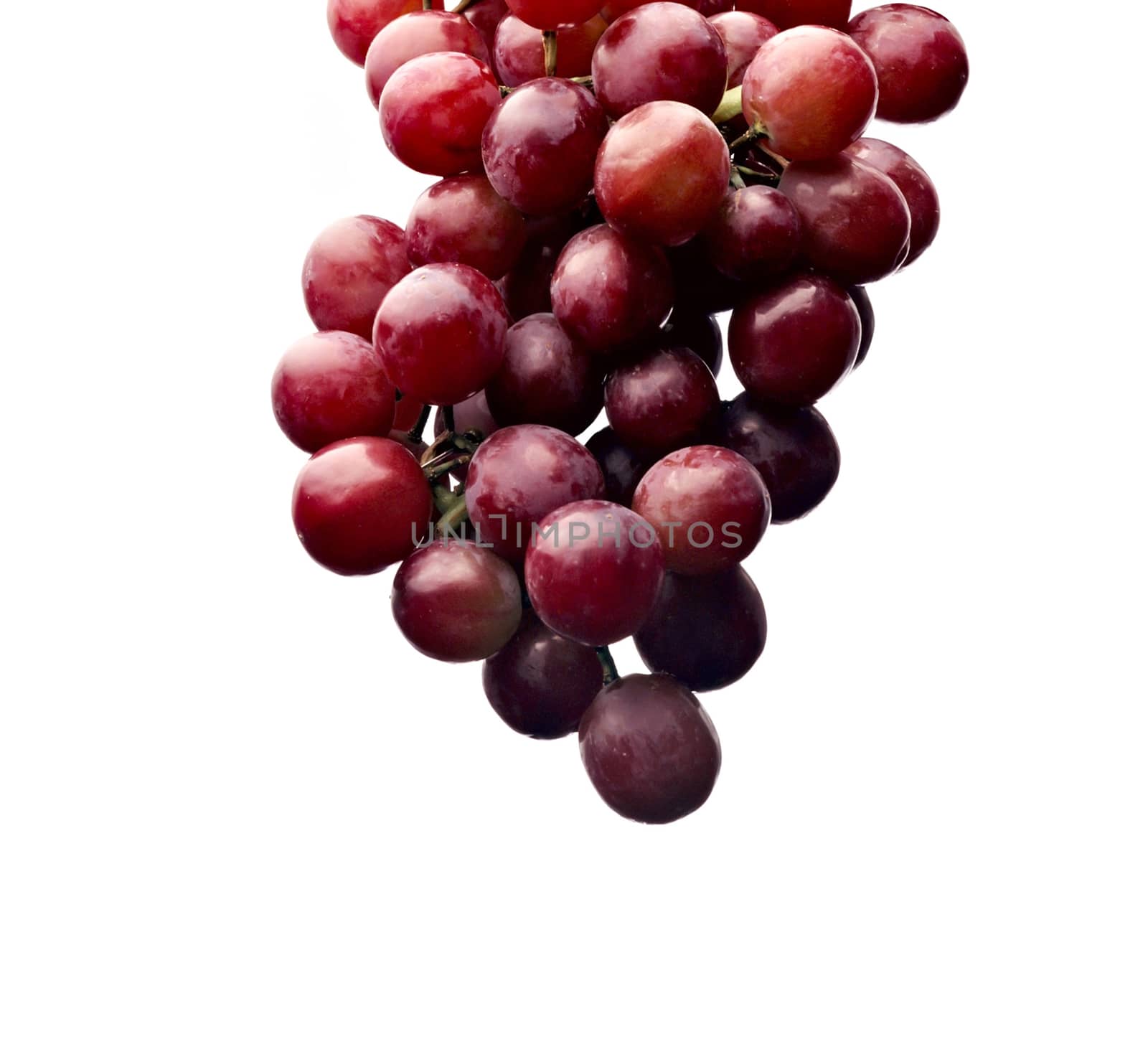 Red grapes isolated