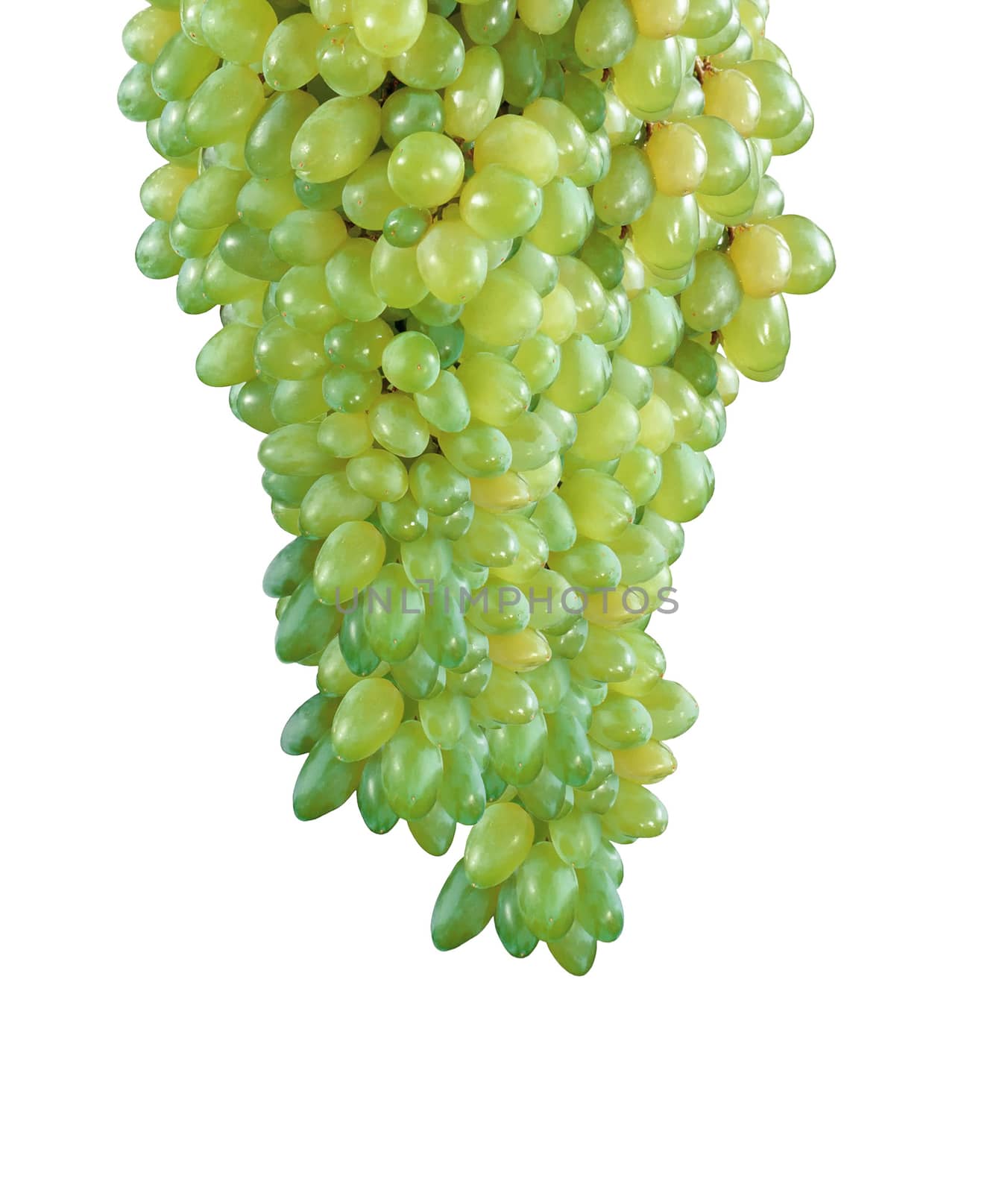 fresh green grape by ozaiachin
