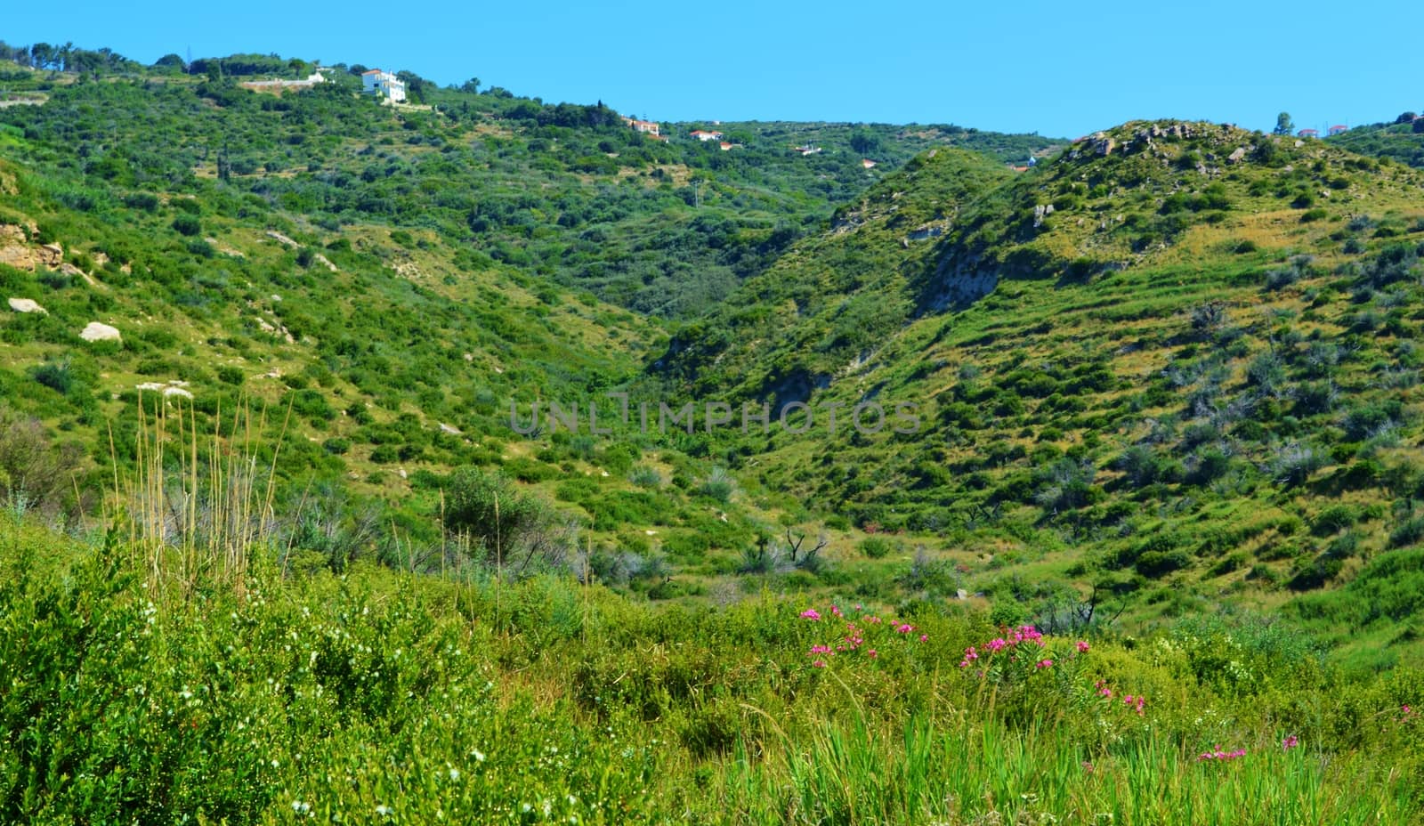 Peaceful Greek countryside, close to katelios on the beautiful Island of Kefalonia.