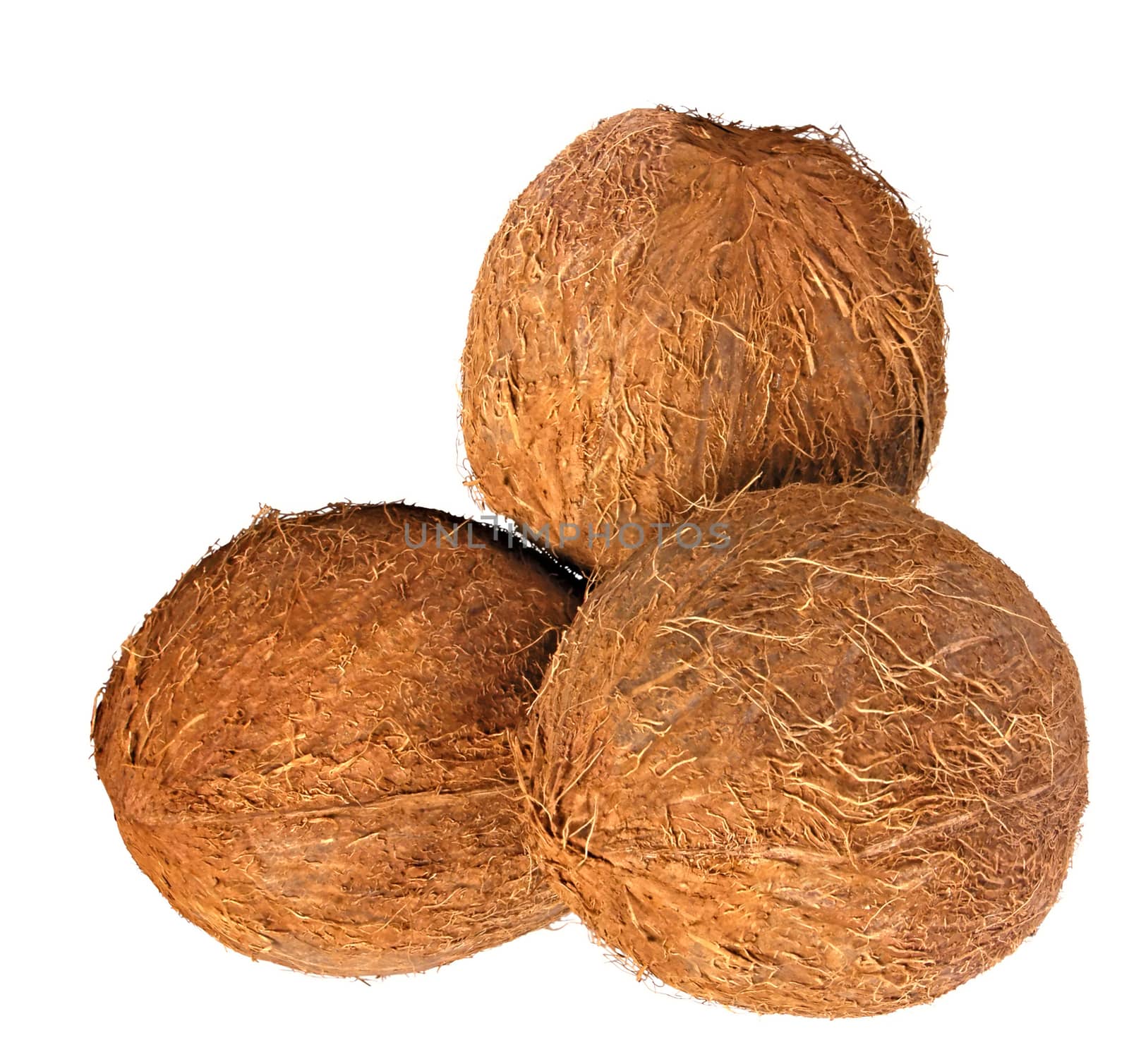 coconuts