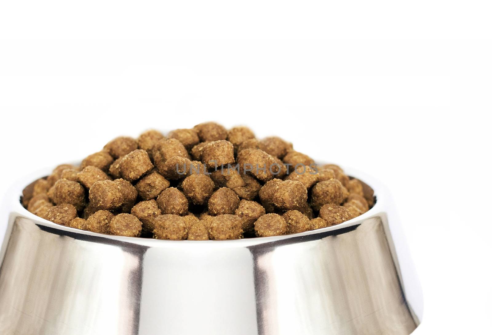 dog food close up