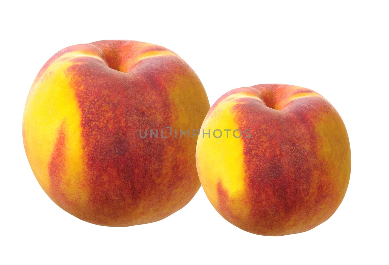 Juicy nectarines on a white background