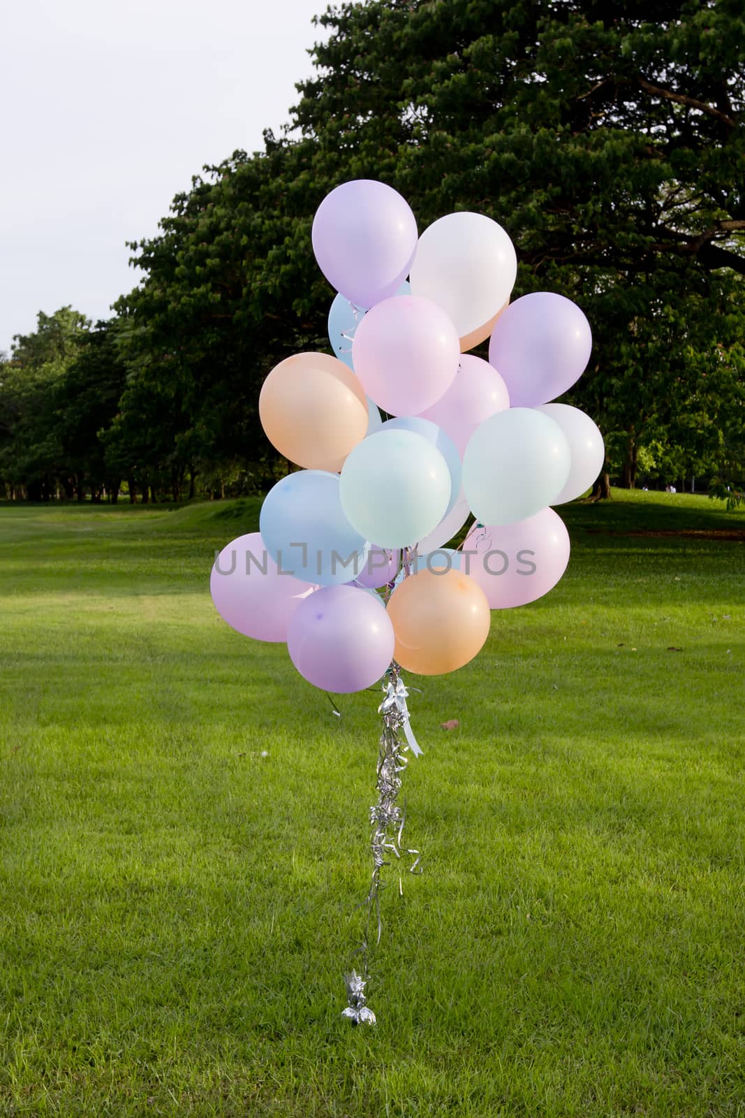 rainbow-colored air balloons on the grass in the park. by art9858