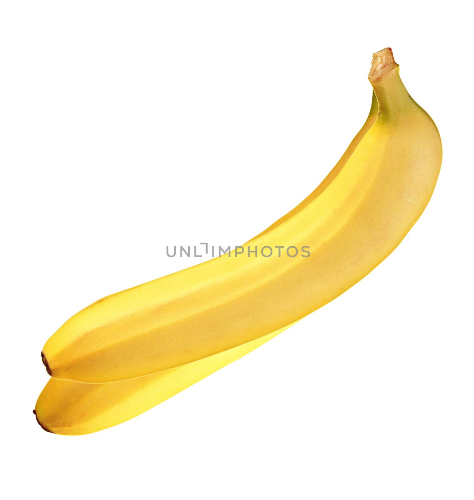 Two mature bananas